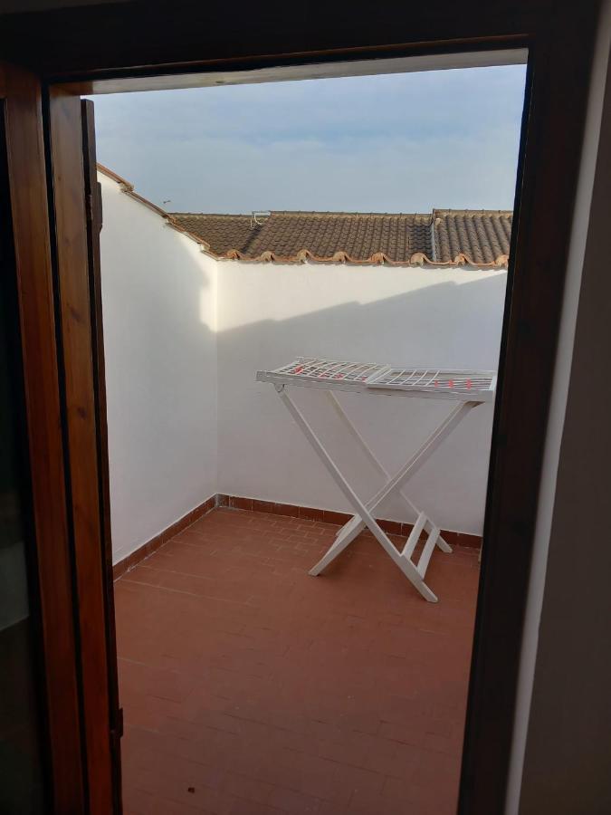Marina di Cerveteri Roma A Un Passo E Il Mare In Casa 아파트 외부 사진