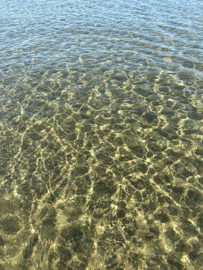 Marina di Cerveteri Roma A Un Passo E Il Mare In Casa 아파트 외부 사진