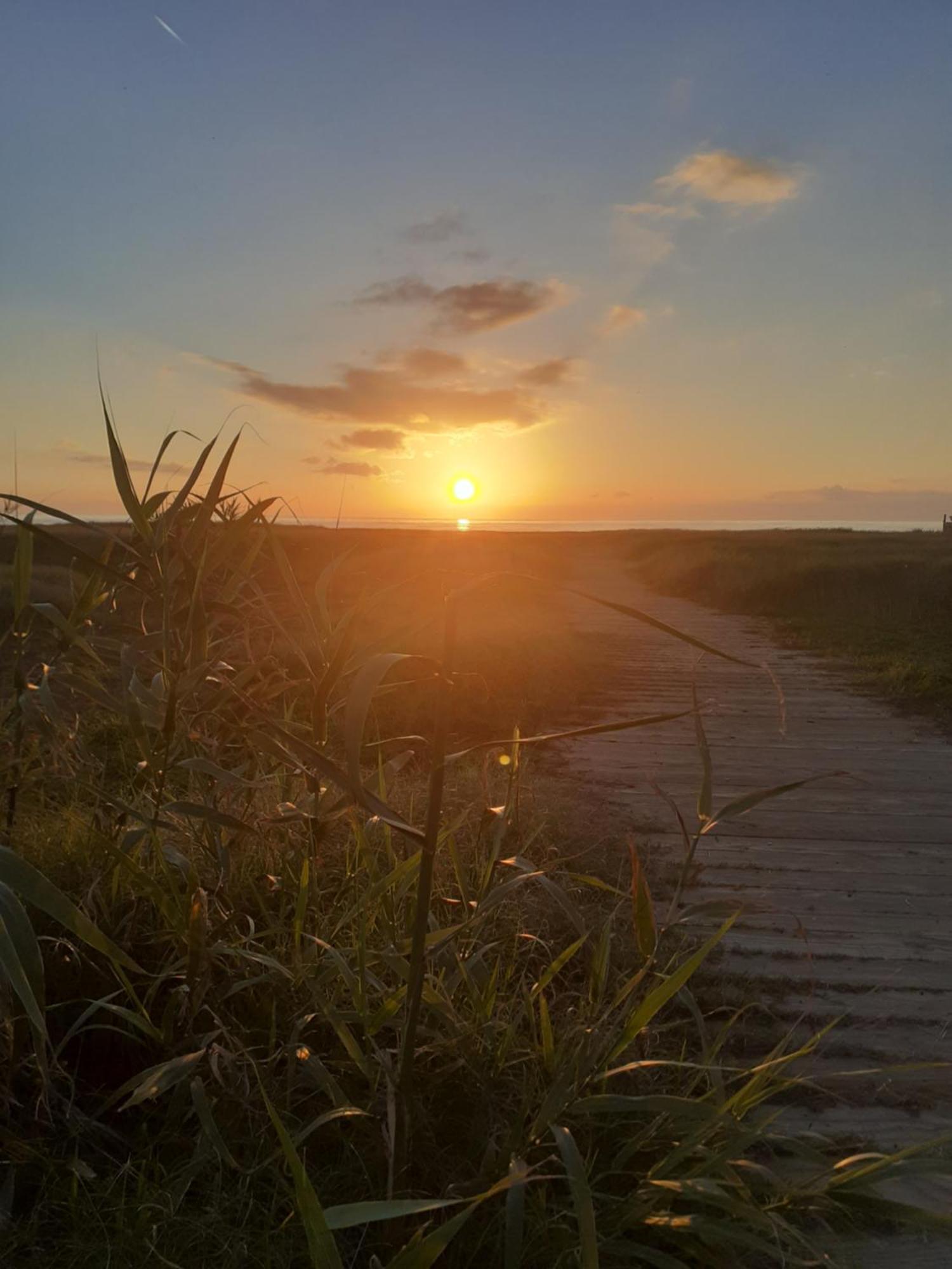 Marina di Cerveteri Roma A Un Passo E Il Mare In Casa 아파트 외부 사진